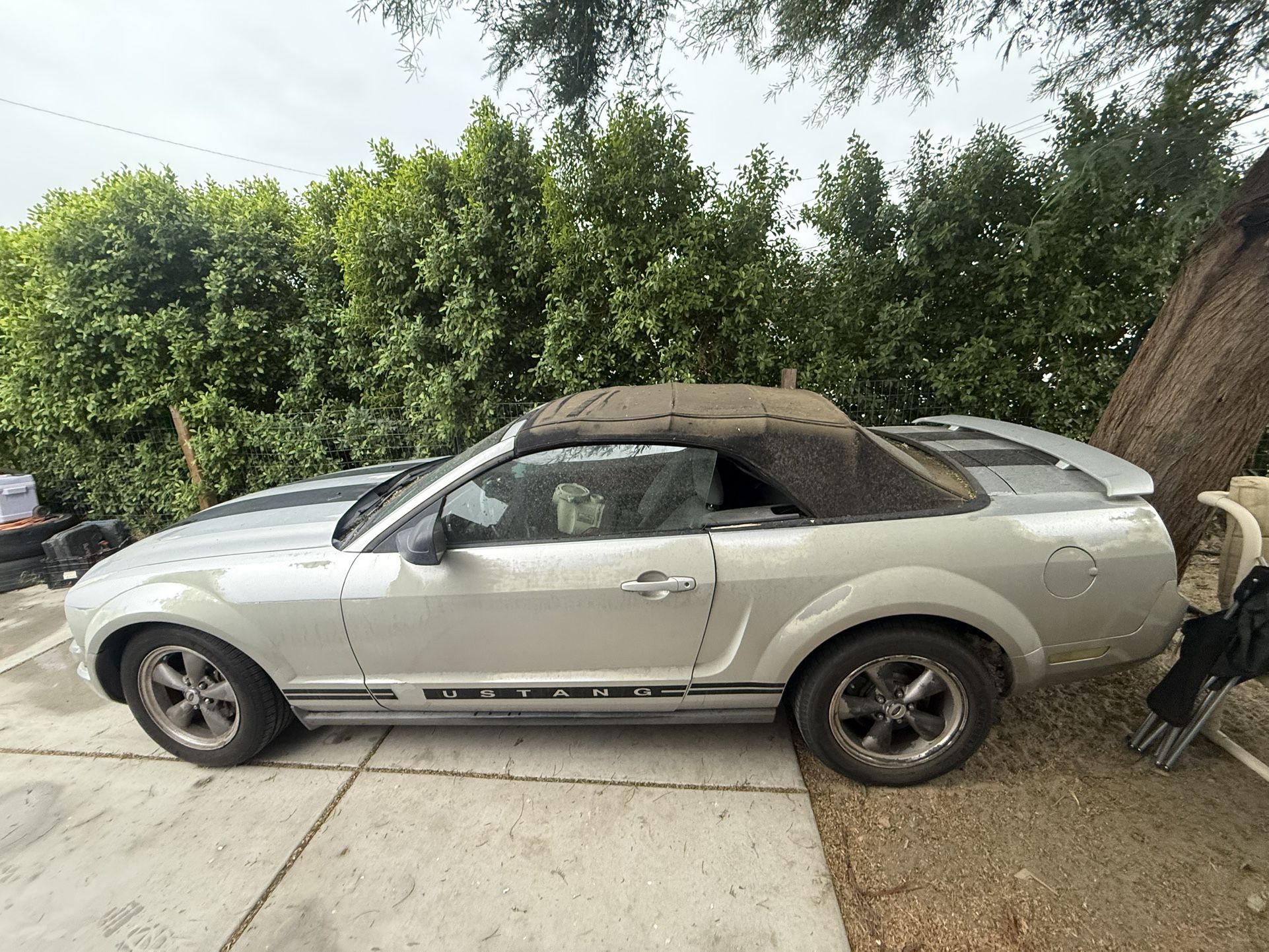 2006 Ford Mustang