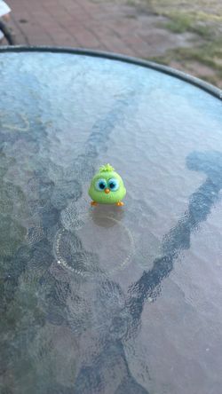Tiny bird