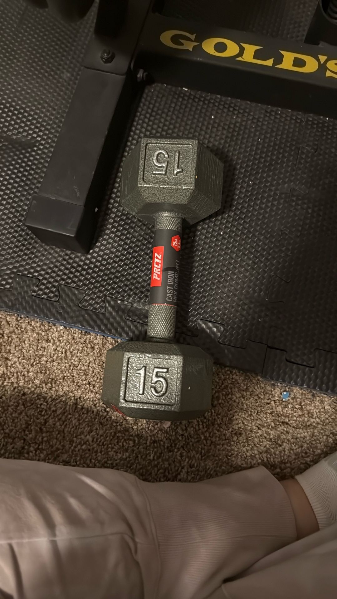 One 15lb Cast Iron Weight