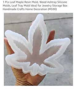 Maple leaf Mold
