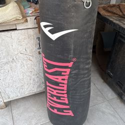 Punching Bag Everlast