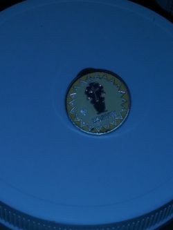 Adventureland restroom pain