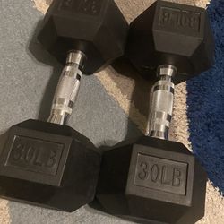 30 Lb Dumbbell Set