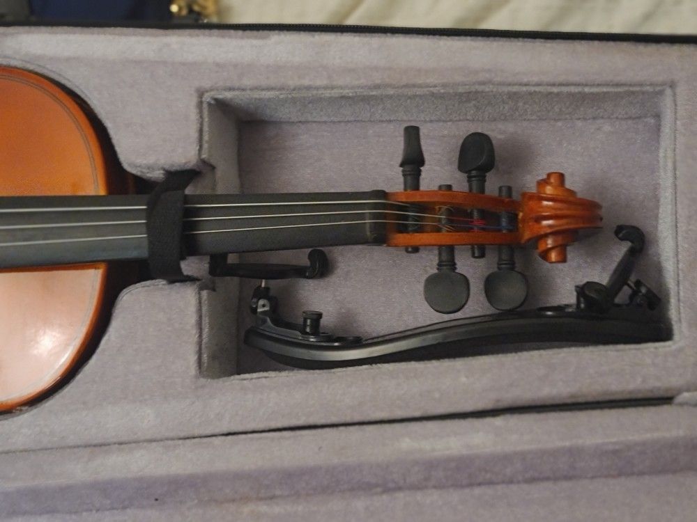 Violin