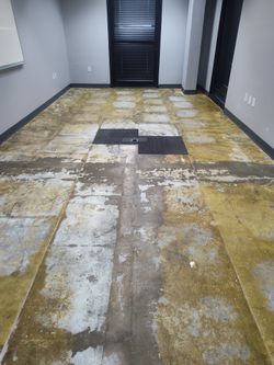 Exterior Interior Paint Epoxy Floors Stucco And Drywall Repair 