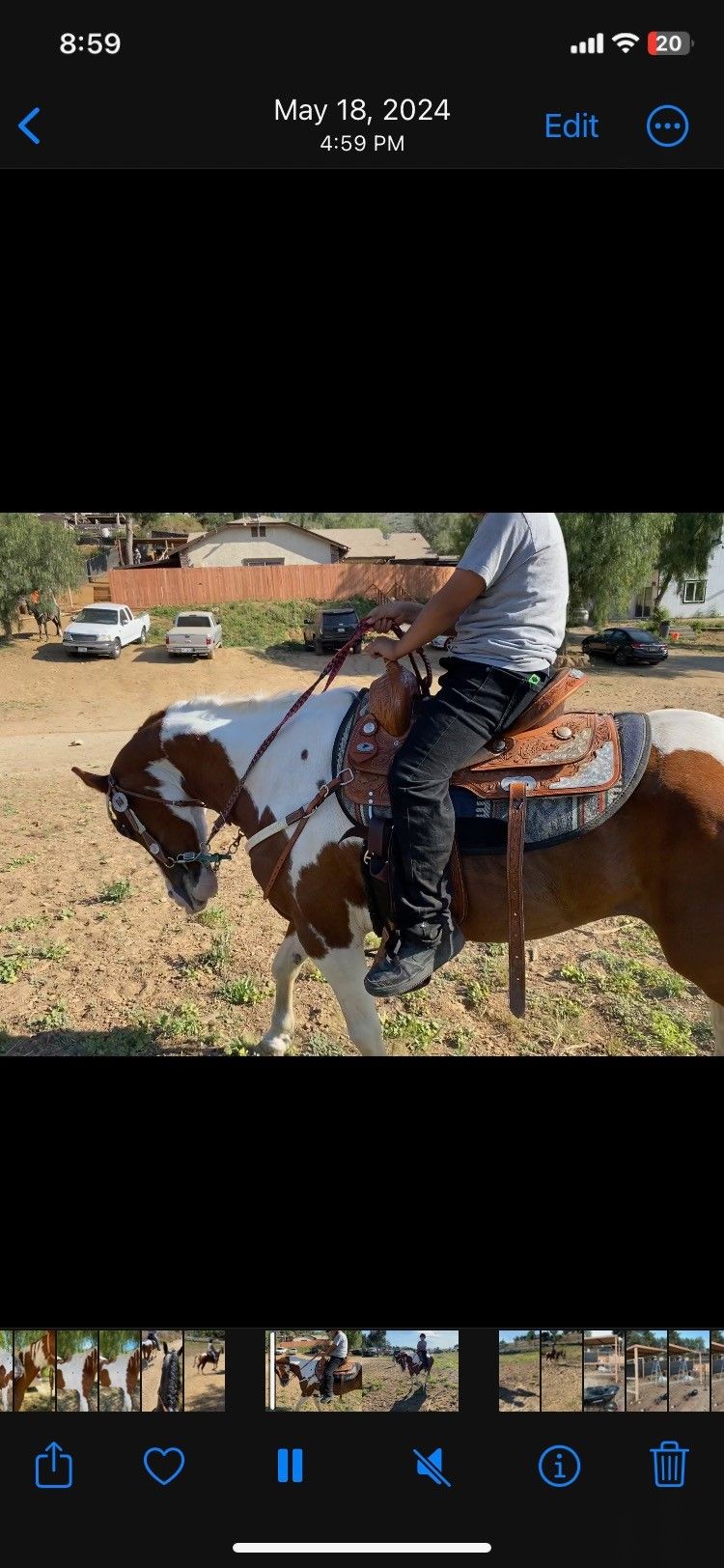 Saddle
