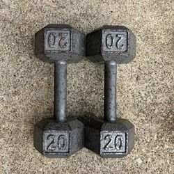 Dumbbells 20 lb dumbbell set Cast Iron Hex lbs weights weight 20lb 20lbs pair pounds pound #