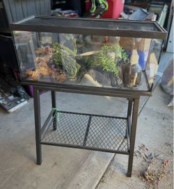 Glass 40 gallon Reptile Terrarium with Metal Stand