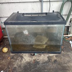 20 Gallon Aquarium Fish Tank 