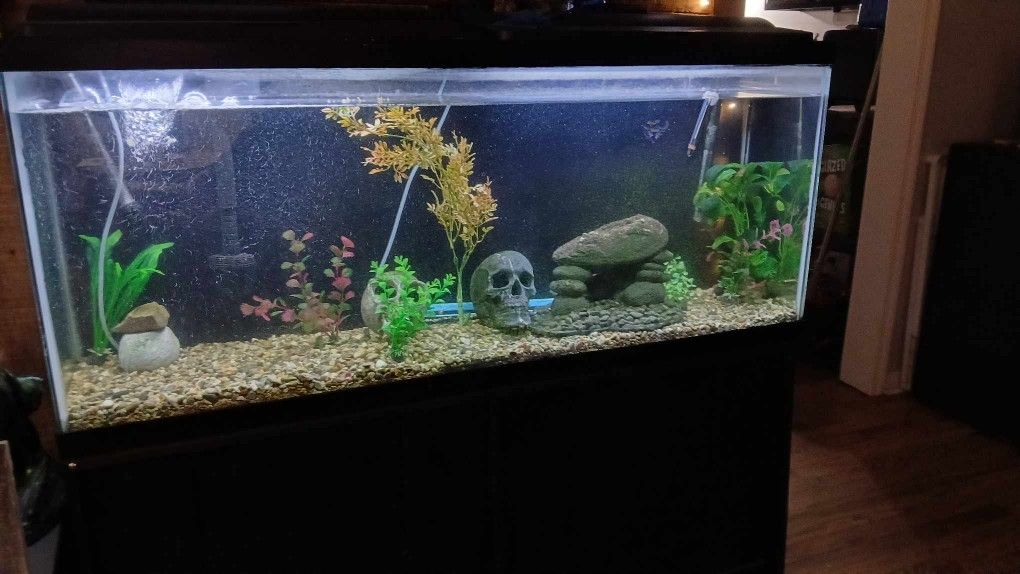 65 Gallon Tank. You Know What To Do