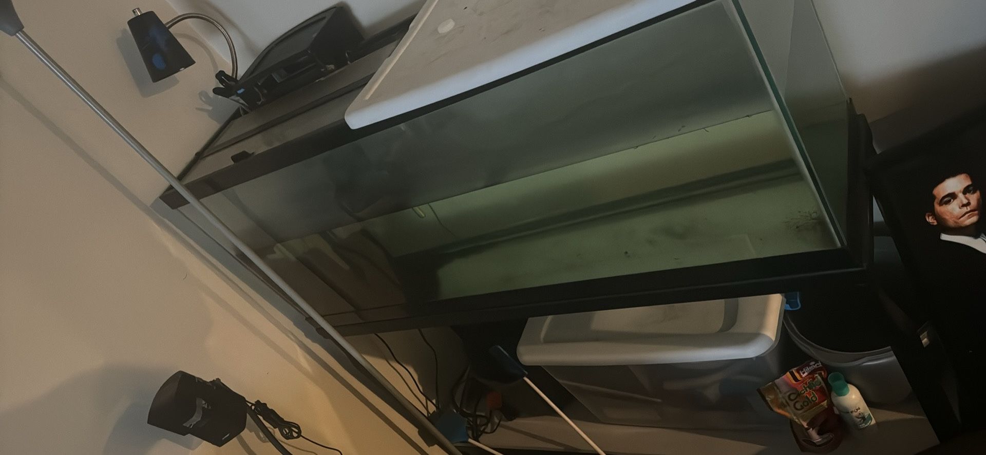55 Gallon Tank/Aquarium