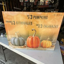 Fall Decor