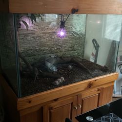 Reptile Tank