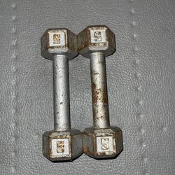 5lb Weights