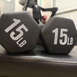 15lb Weights 
