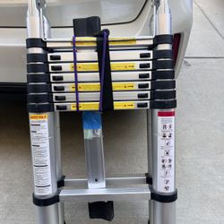 Telescoping Ladder