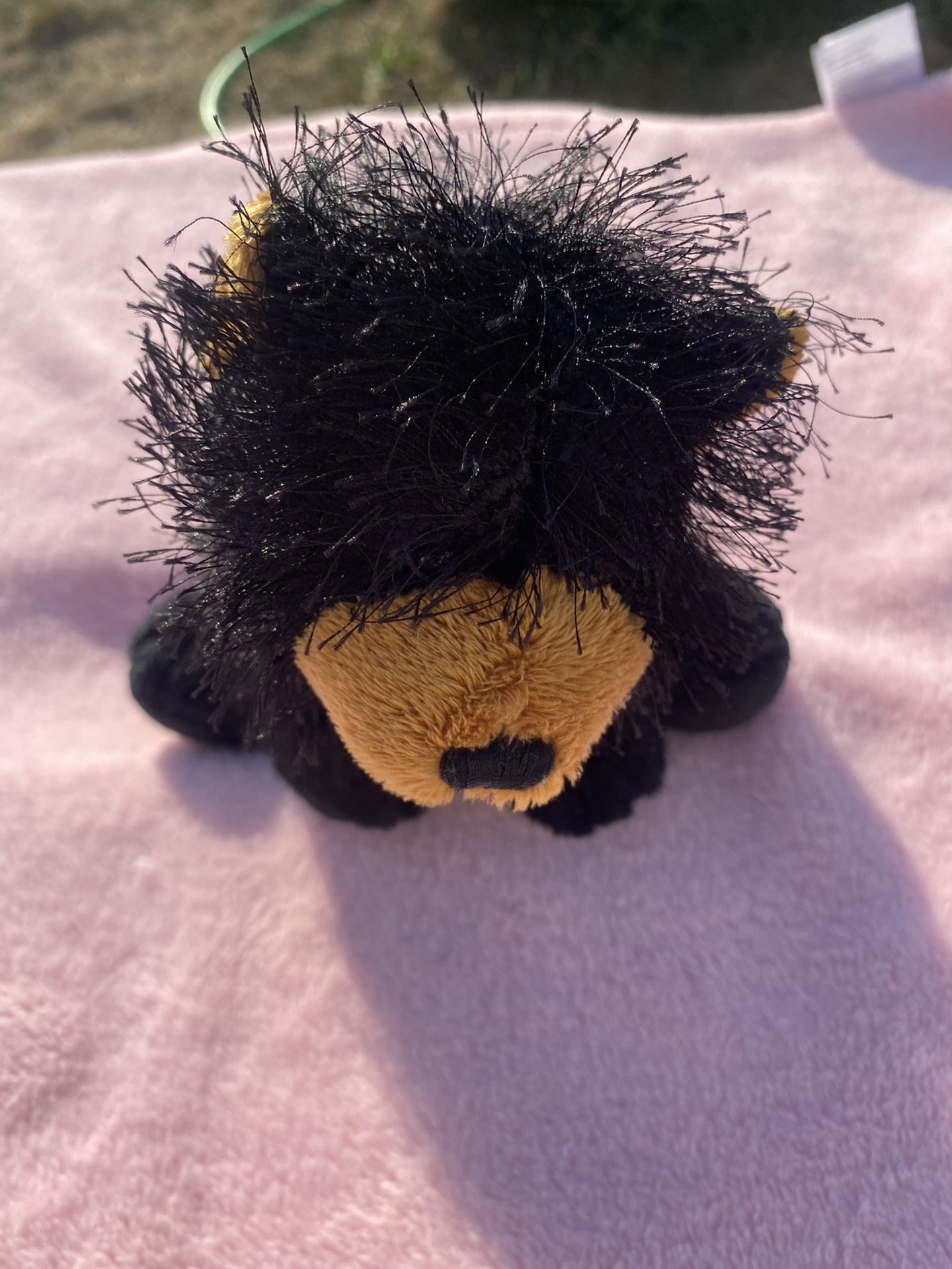 Ganz Webkinz Black and Brown Fuzzy Bear Stuffed Animal Plush Toy 8" (No Code)