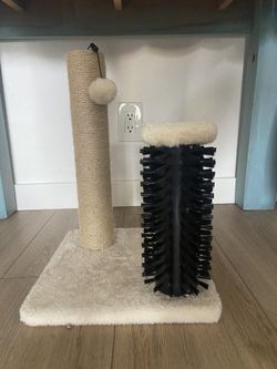 Cat Play And Scratcher