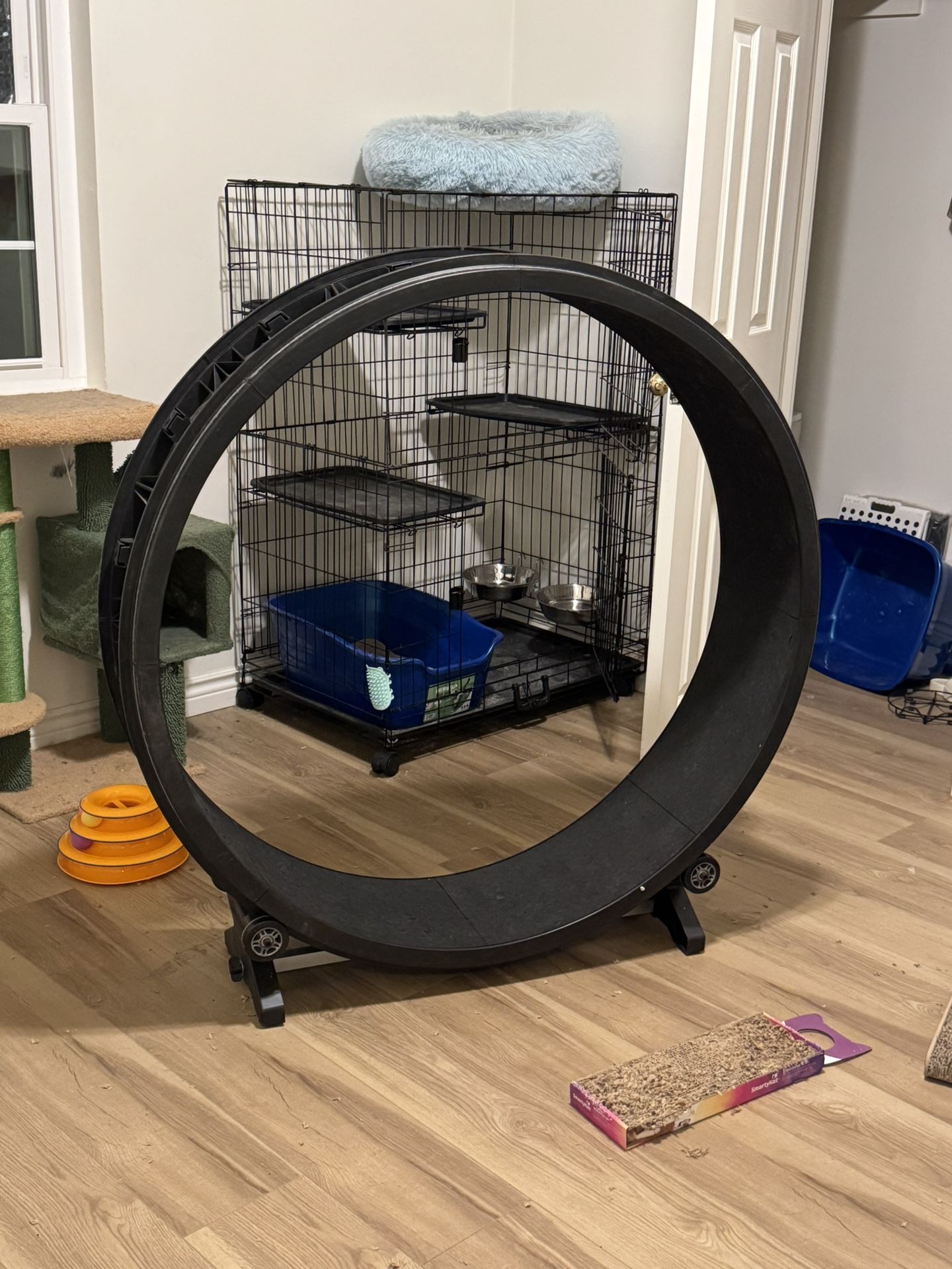 Cat Wheel 50”
