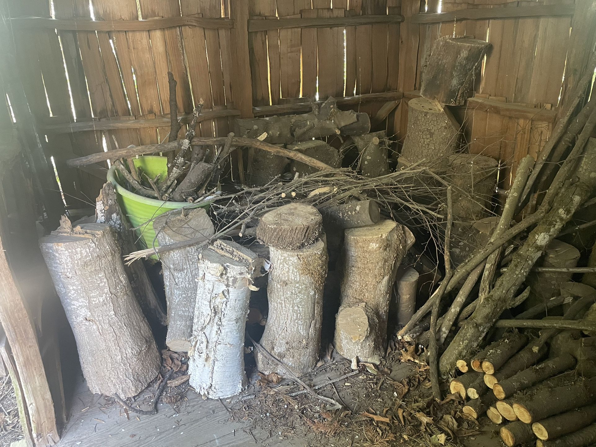 Firewood Logs And Branches