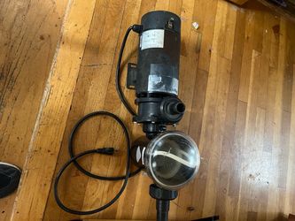 Raypak 1.5 HP Above Ground Pool Pump