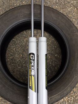 2016-2020 Ford F150 Rear Shocks