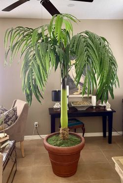 Artificial Tall Palm Tree