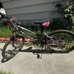 Rallye Mountain Bike