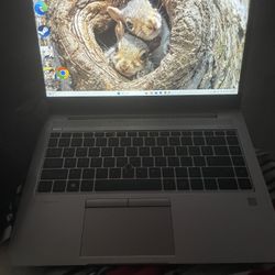 Hp Elitebook 745 G6
