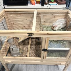 Guinea Pig Cage 