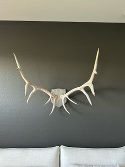 Wall art