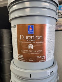 Paints pinturas nuevas