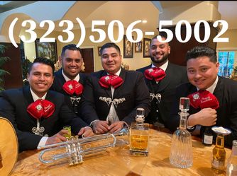 Disponible mariachi para fiestas