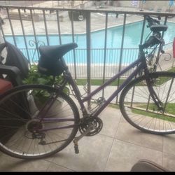 1992 Vintage Schwinn Criss Cross Ladies Hybrid Bike 21 spd.