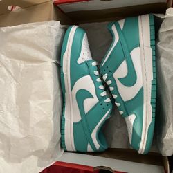 Brand New Dunks 