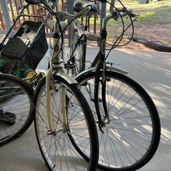 2 Vintage Bikes 