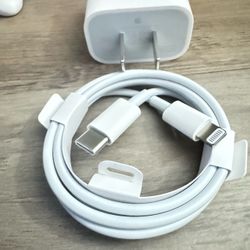 Apple USB-C to Lightning Cable and Wall Adapter