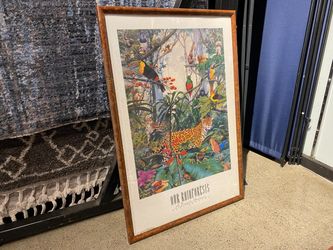 “Our Rainforest A Fragile Balance” Print By Paul Kratter