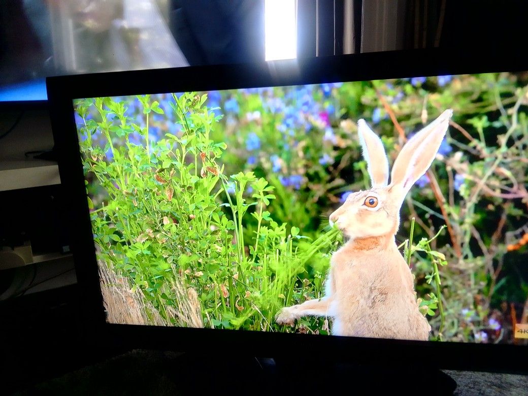 40 Inch TOSHIBA Tv