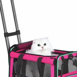  Airline Approved Pet Carrier With Wheels 