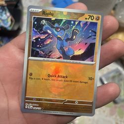 Riolu, Groudon And Noctowo Master Balls 