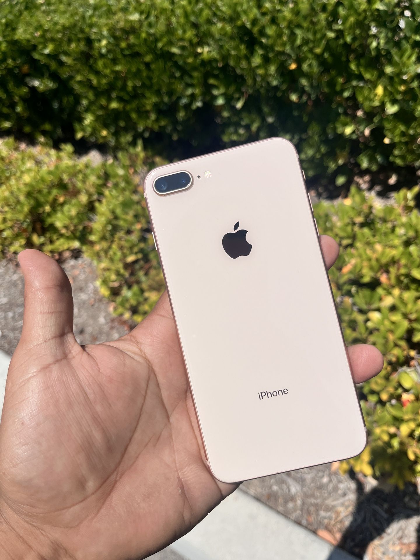 iPhone 8 Max‼️