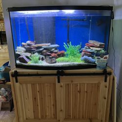 120 Gallon Bowfront Fish tank With Custom Barn Door Stand