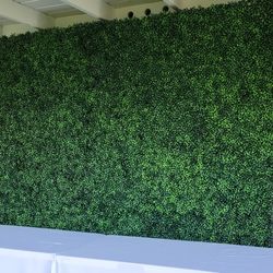 Boxwood Hedge / Greenery Wall Backdrop