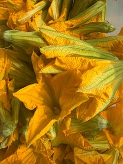 10 Flores de calabaza por 1$