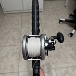 Penn fathom 40n conventional on a Penn carnage 2 rod