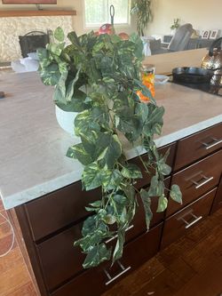Faux Plant