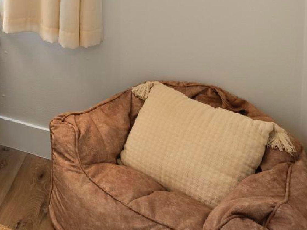 Brown Bean Bag Chair