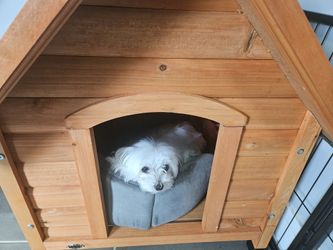 Dog House For Sale