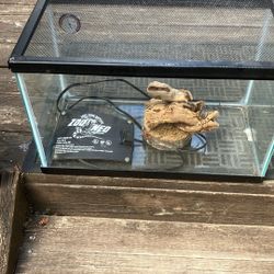 Reptile Tank